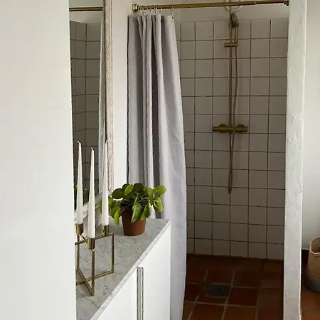 Ferienhaus House With Access To Sandy